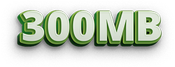 300MB