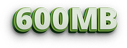 600MB